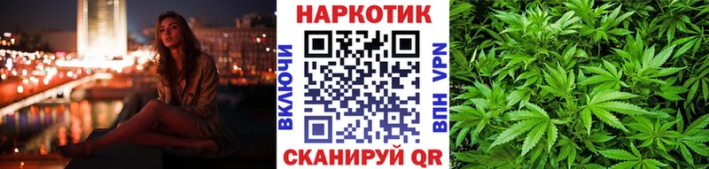 Где купить наркоту Черноголовка Конопля  Кокаин  Альфа ПВП  Меф  ГАШ 
