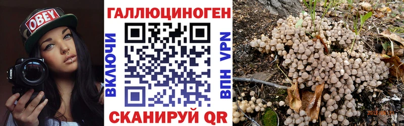 Галлюциногенные грибы GOLDEN TEACHER  купить наркотик  Черноголовка 